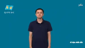 yếu – Ngôn Ngữ ký Hiệu – Vùng miền Hà Nội – Phân loại Tính Từ