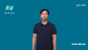 yêu cầu – Ngôn Ngữ ký Hiệu – Vùng miền Thành Phố Hồ Chí Minh – Phân loại