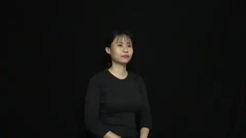 yếu tố - Ngôn Ngữ ký Hiệu - Vùng miền Thành Phố Hồ Chí Minh - Phân loại Khoa học